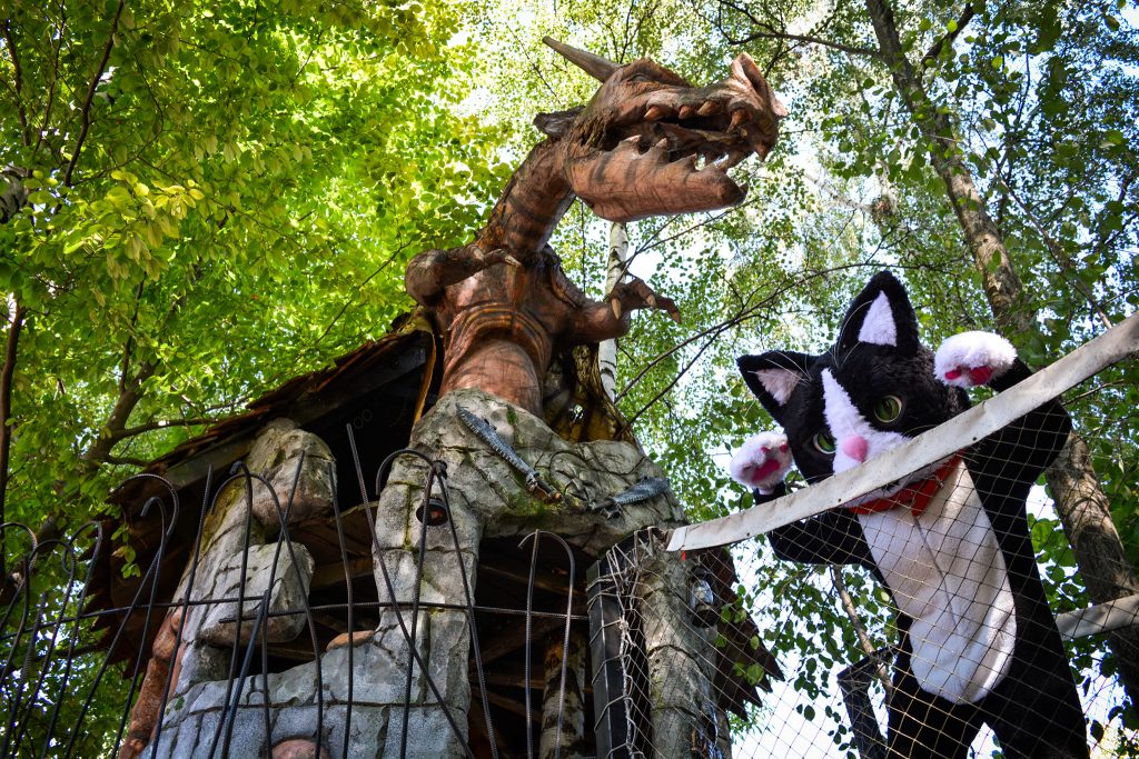 305932681_493019469313351_4428027772647811472_n