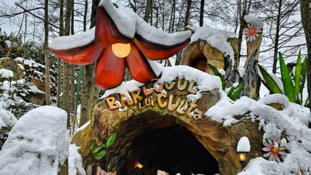 414044841_368206402391927_5061760058597049700_n