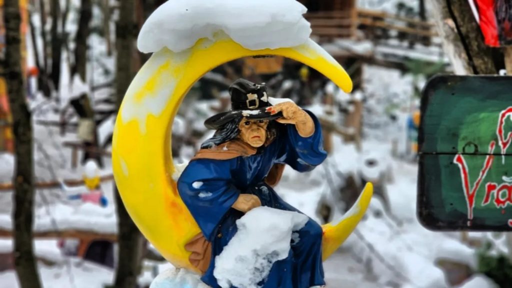 414109901_368206412391926_422551212557712086_n