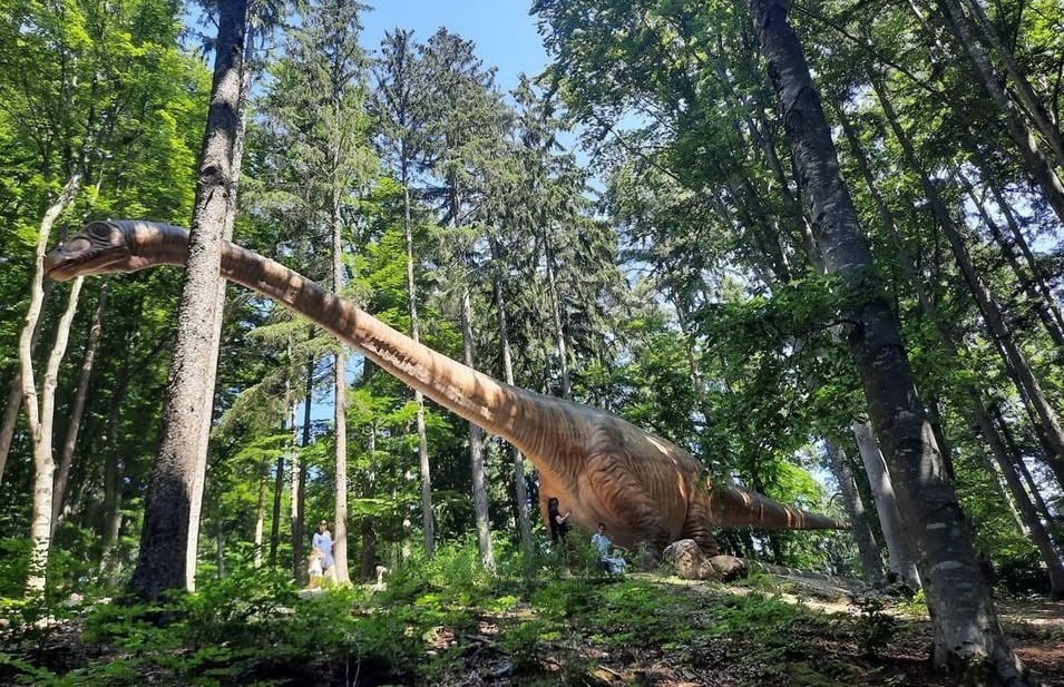 dino-parc-rasnov (1)