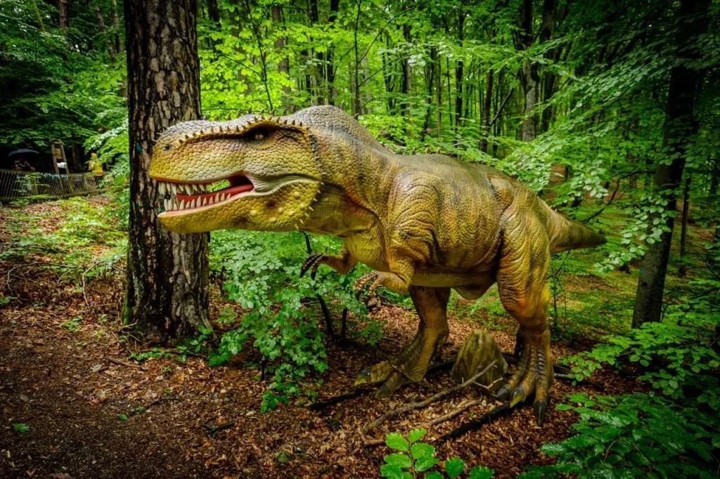 pag-turism-Dino-Parc-Rasnov_02